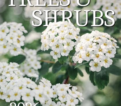 New Trees & Shrubs 2026