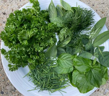Using Your Summer Herbs