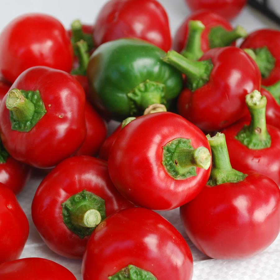 Pepper Red Cherry Hot Pepper 