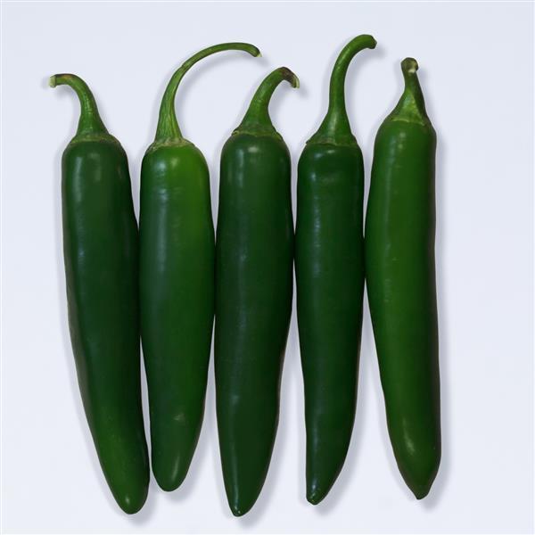 Pepper Capsicum Annum Pathfinder