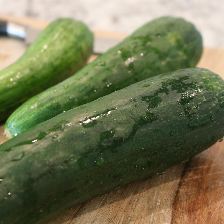 Cucumber Sweet Success
