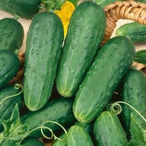 Cucumber Homemade Pickles