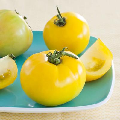 Tomato Lemon Boy