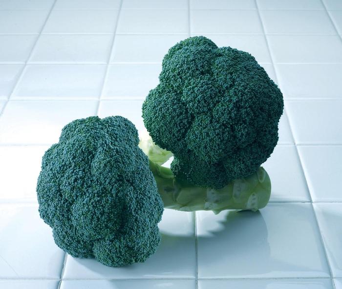 Broccoli Premium Crop