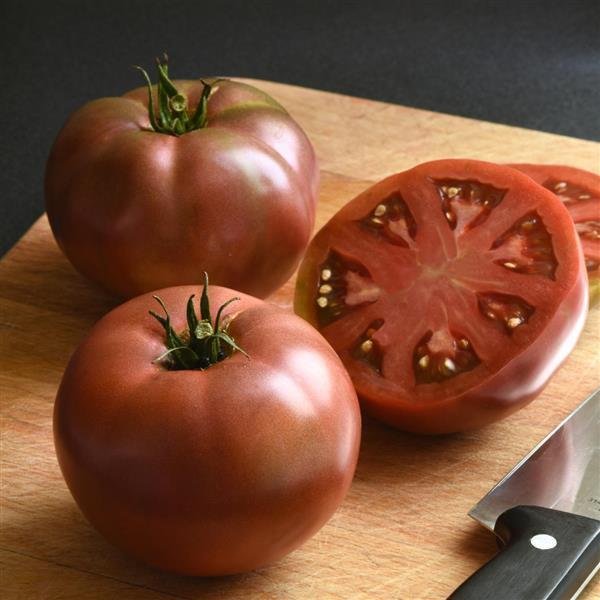 Tomato DarkStar