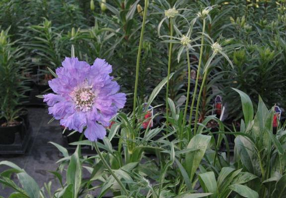 You are using an outdated browser. For a faster, safer browsing experience, upgrade for free today.