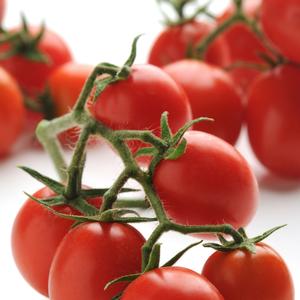Tomato Topsy Tom